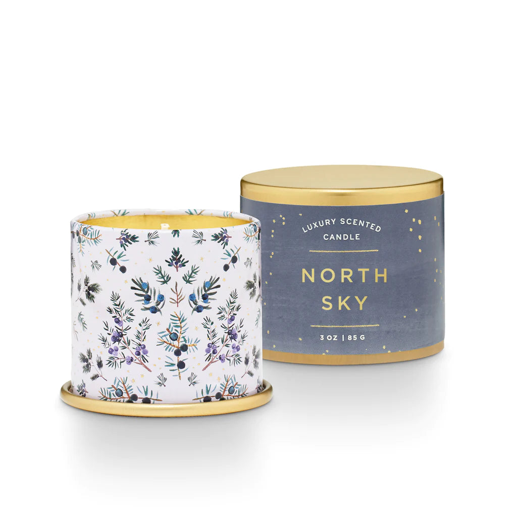 Load image into Gallery viewer, North Sky Demi Tin Candle
