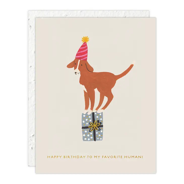 Birthday Dog Card