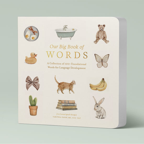 Our Big Book of First Words