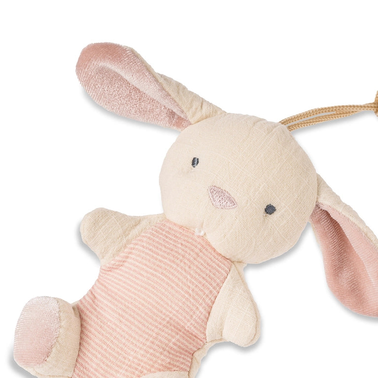 Load image into Gallery viewer, Bitzy Pal Natural Rubber Pacifier &amp;amp; Stuffed Animal - Bunny
