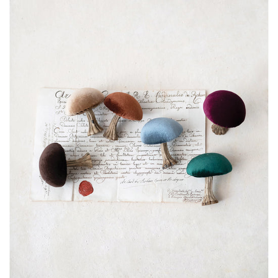 Load image into Gallery viewer, Velvet Mushroom with Stem
