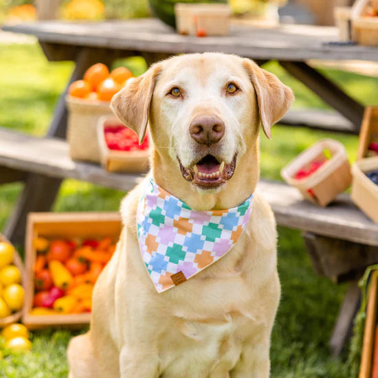 Patchwork Quilt Summer Dog Bandana