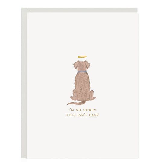 Angel Dog Card