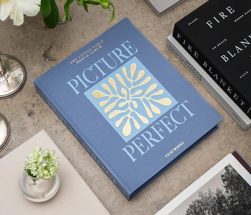 Blue Picture Perfect Photo Album