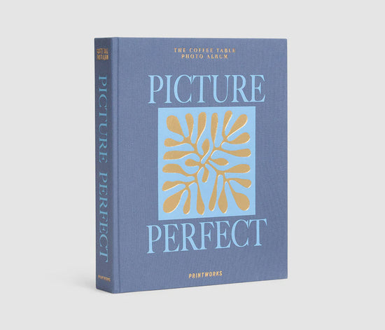 Blue Picture Perfect Photo Album