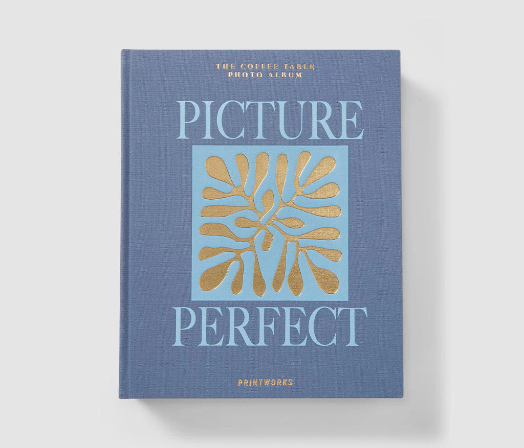 Blue Picture Perfect Photo Album