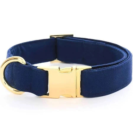 Ocean Dog Collar