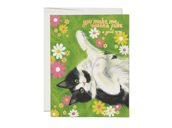 Nice Kitty Card